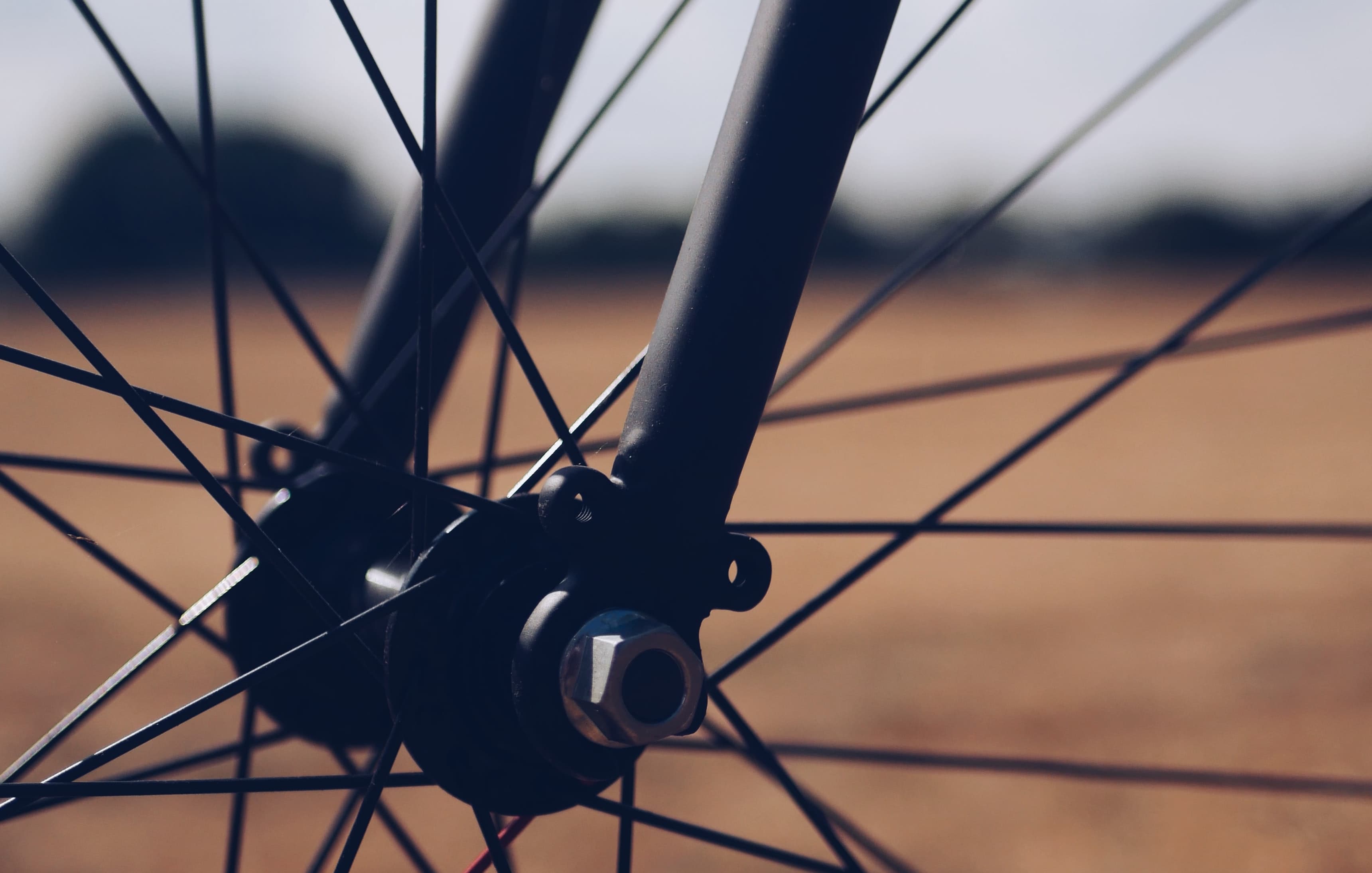 Meet True’s 2022 Spoke Program Cohort
